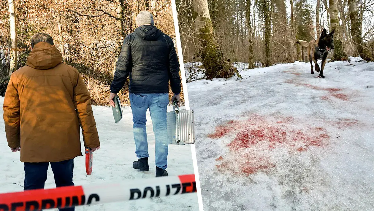 Солдат бундесвера тяжело ранен в лесу у границы с Зальцбургом: полиция ищет неизвестных